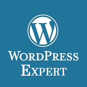 Hire Wordpress Expert