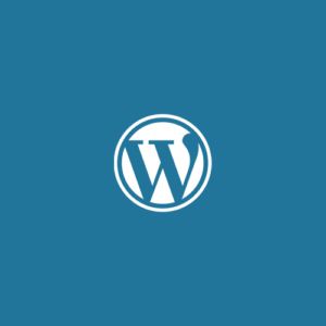 Ongoing WordPress Maintenance and Support